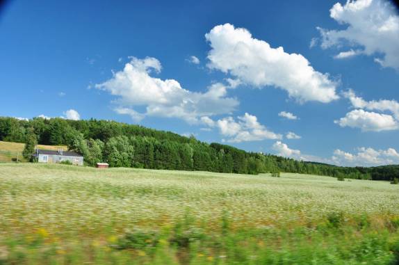 Plantações floridas entre Montreal e Quebeq, ao sul do Rio São Lourenço, no Canadá